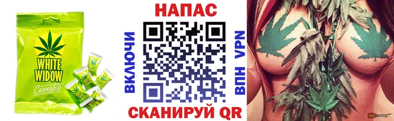 купить наркотик  Пионерский  Cannafood конопля 