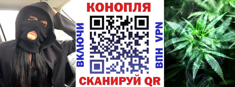 продажа наркотиков  Пионерский  Бошки марихуана MAZAR 